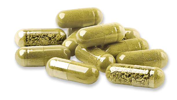 contacta con expertos en suplementos alimenticios